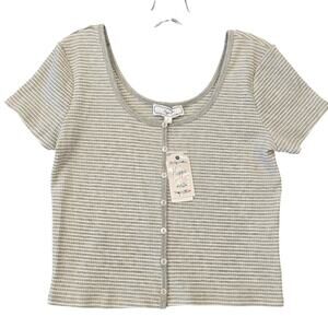 Hippie Rose Gray Striped Crop Top Shirt NEW Stretch Short Sleeves Scoop Womens L